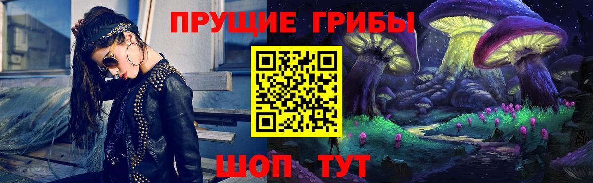 Мценск  где купить наркоту  Псилоцибиновые грибы мицелий  Вход с VPN  Галлюциногенные грибы прущие грибы 
